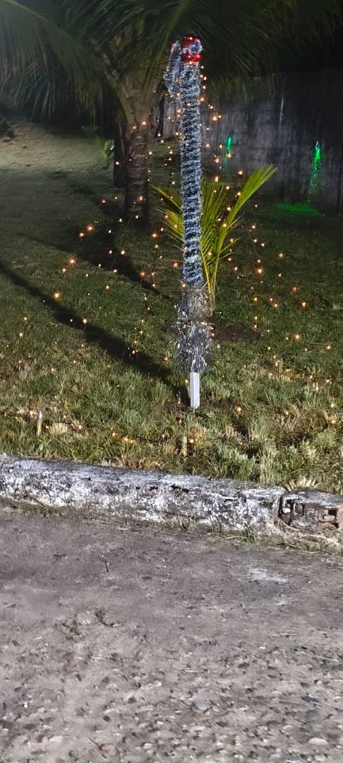 Foto enviada por Wellida Bezerra