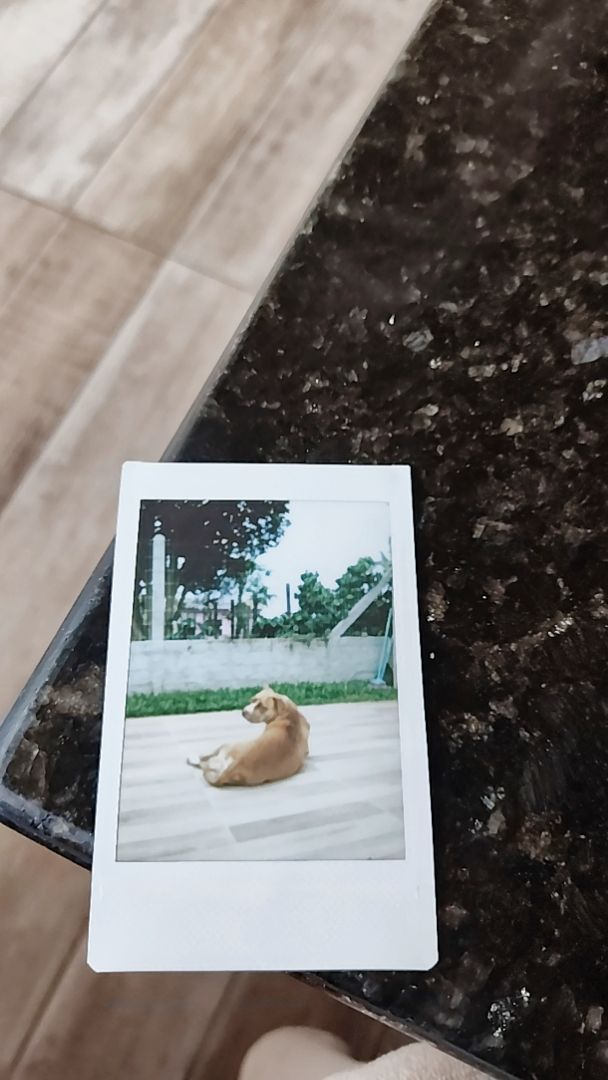 Foto da avaliação