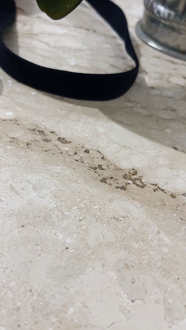 Foto da avaliação
