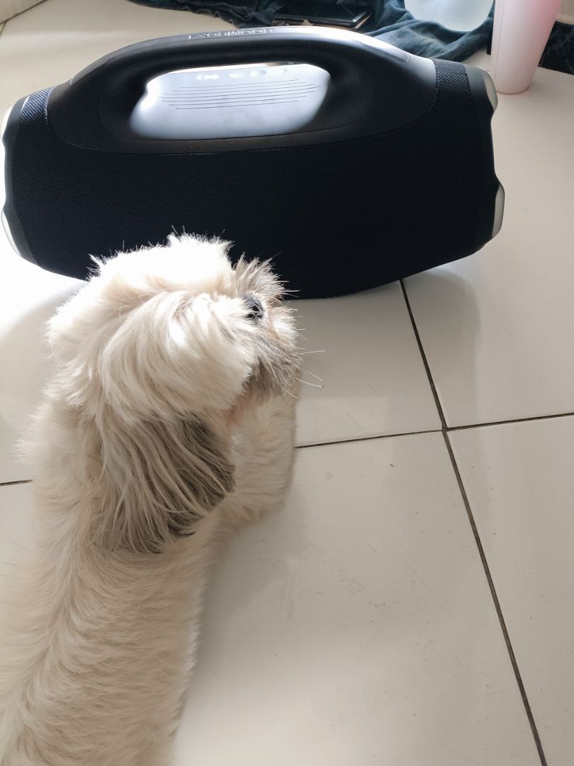 Foto da avaliação