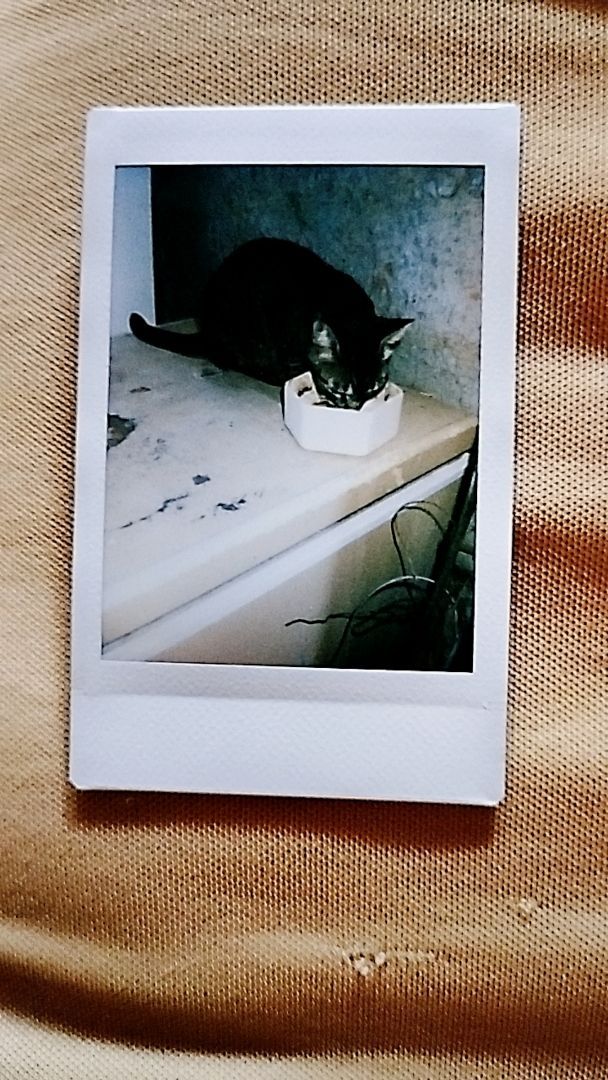 Foto da avaliação