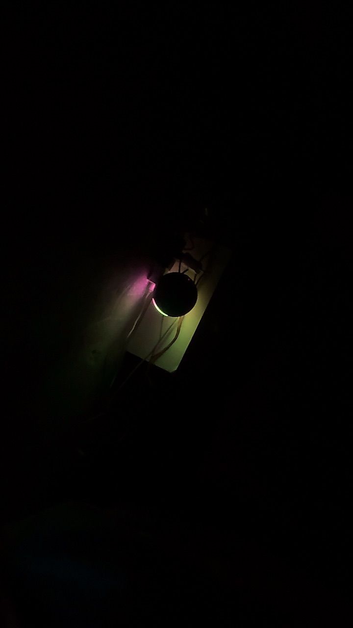 Foto da avaliação