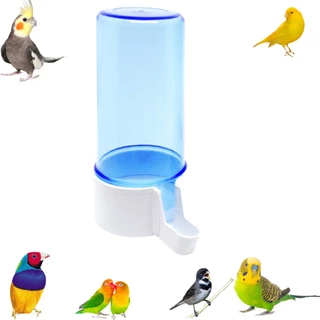 Kit Bebedouro Plastico Italiano 200ml Malha Fina Passaros e Aves Diversas