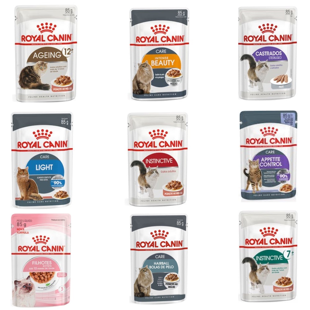 Ração Úmida Sachê Feline Kitten Wet para Gatos Filhotes com até 12 meses da  Royal Canin - 85 g