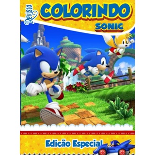 Lembrancinha para Colorir Sonic Regina 8und - Kit de Colorir - Magazine  Luiza
