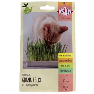 Sementes de Grama dos Gatos Felix Pet Isla Catnips Livre de Agrotóxicos
