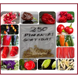250 Sementes de Pimentas Sortidas