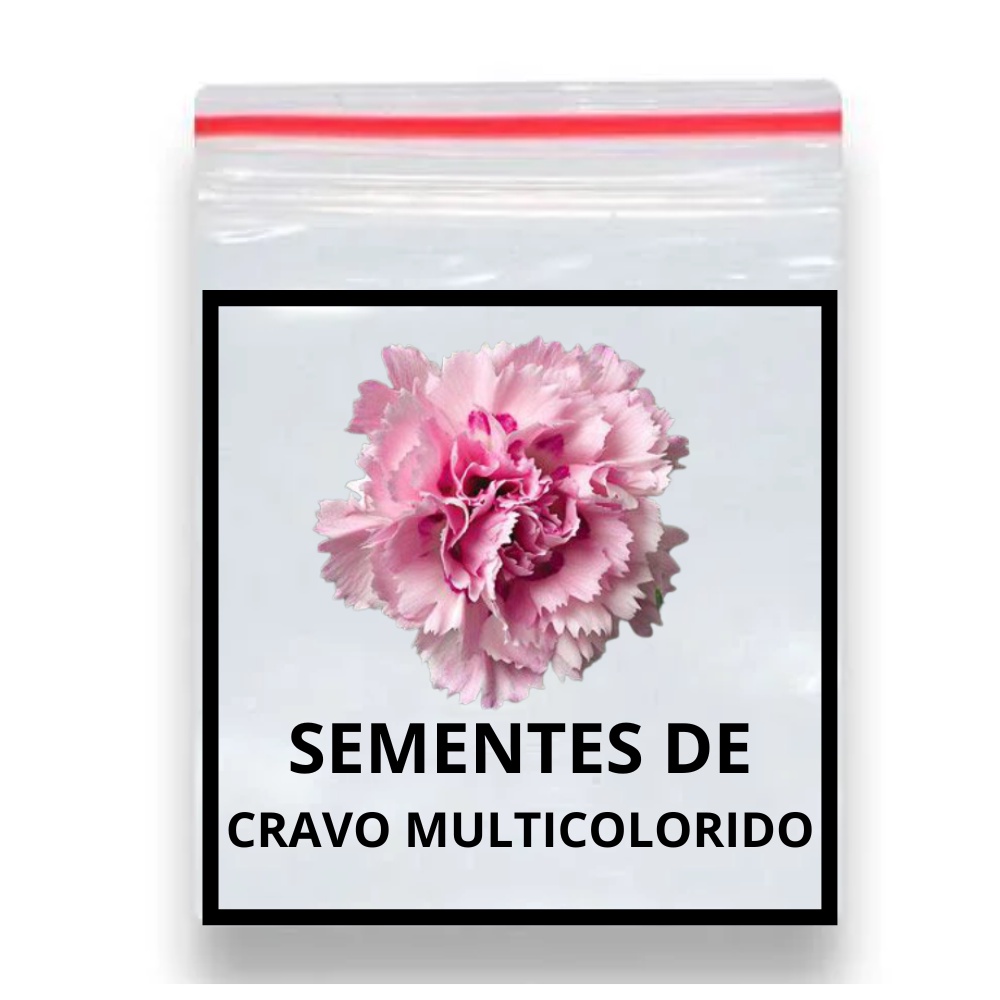 60 Sementes Flor Cravo Multicoloridos Dobrados / Ideal para Vasos e Mudas