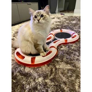 Brinquedo Gato Bolinha Gp Grande