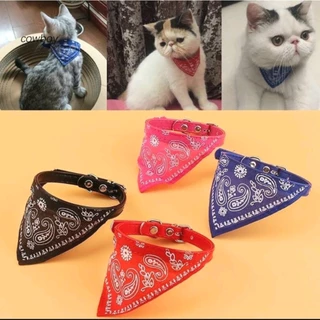 Coleira Gato e Cachorro de Pequeno Porte Pet
