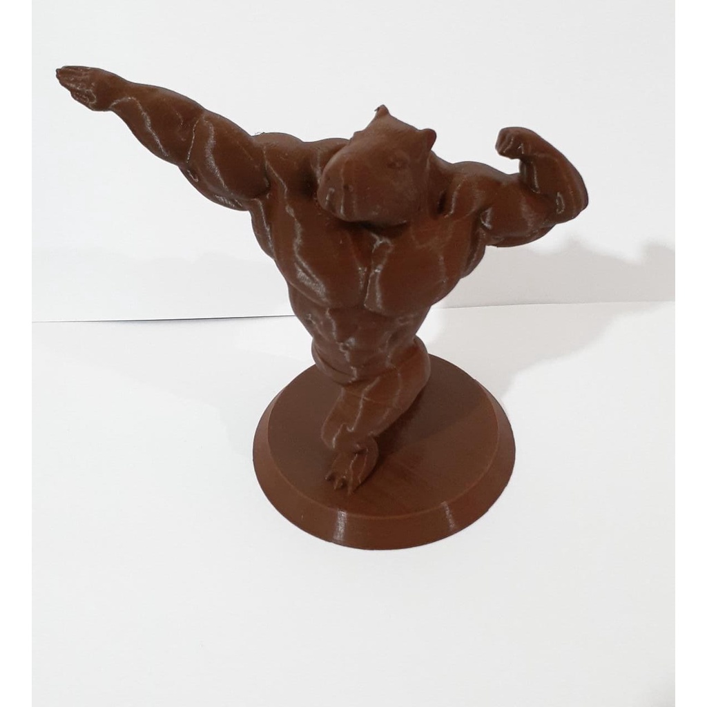 Capivara BodyBuilder Bombada Impressão 3D | Shopee Brasil