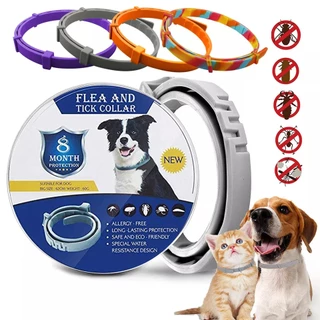 Coleira para cachorro e gato Anti Pulgas, Carrapatos E Insetos