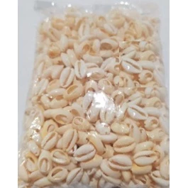 Buzios Natural Medios do 500 GRAMAS Cortado( NATURAL NAO É DE PLASTICO) para Artesanato Pacotes com 500gr