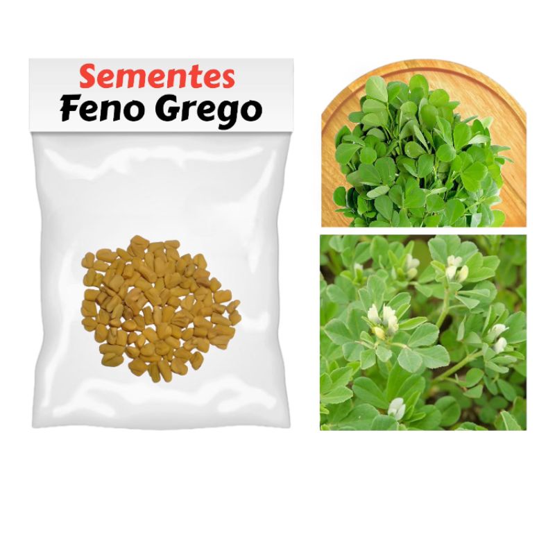 Feno Grego - Trigonella foenum-graecum 300g - Drogaria Sao Paulo