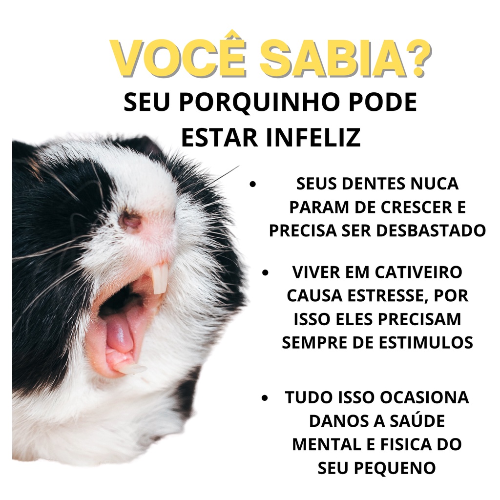 Imagem do produto kit Enriquecimento ambiental para Roedores 6