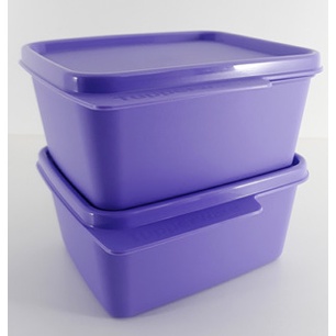 Tupper Basic Line 500ml | Shopee Brasil