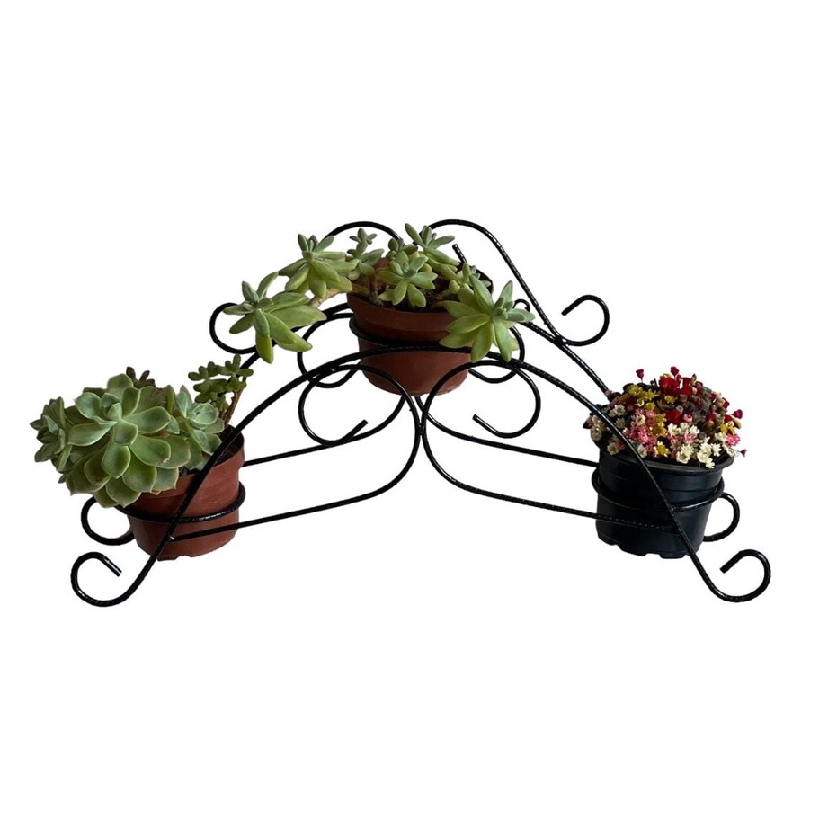 Suporte para 3 vasos de flor porta suculentas em ferro de parede pronta ...