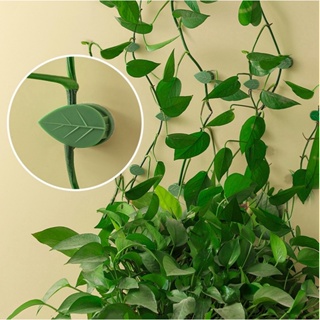 Clip Planta Trepadeira Gancho Adesivo Plantas Folha Escala