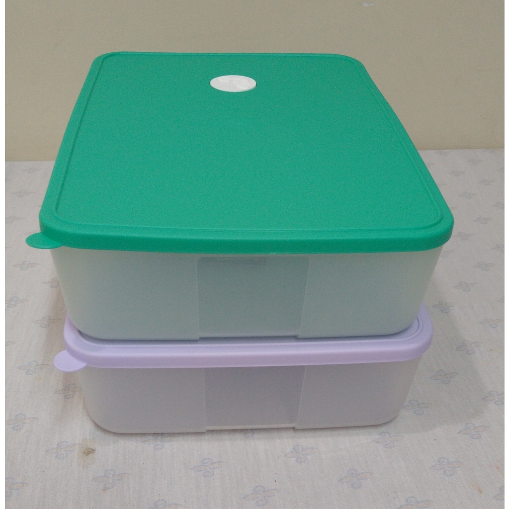 TUPPER FREEZERTIME 3,1 LITROS | Shopee Brasil