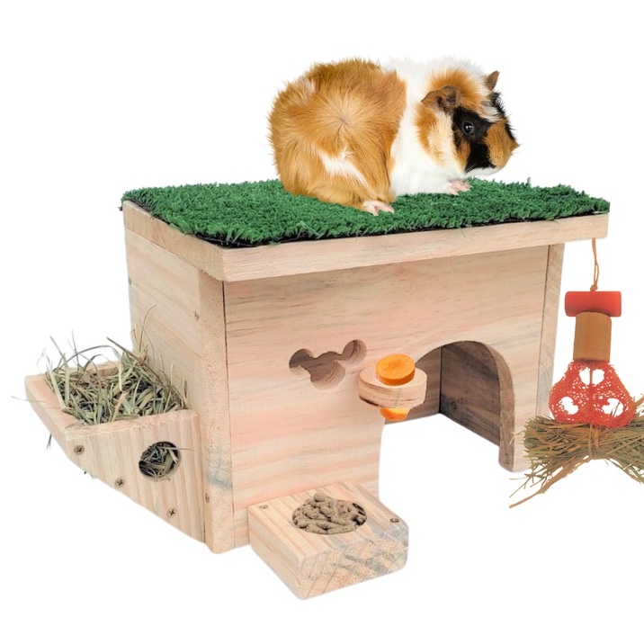 Casinha com Brinquedos para Porquinho da índia | Shopee Brasil