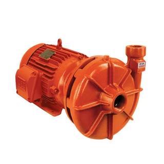 Bomba Incêndio 10 Cv Trifásica Bpi-22 R 2.1/2 Pol Schneider em Oferta na Shopee