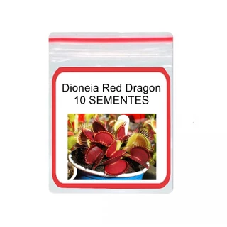 Dionaea Planta Carnivora Flytrap 10 Sementes Red Dragon