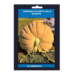20 Sementes MORANGA Gigante Dills Atlantic