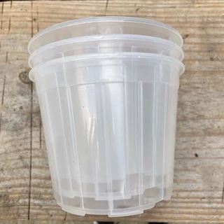 Kit Com 10 Vasos Transparentes Plástico 14cm Para Orquídeas