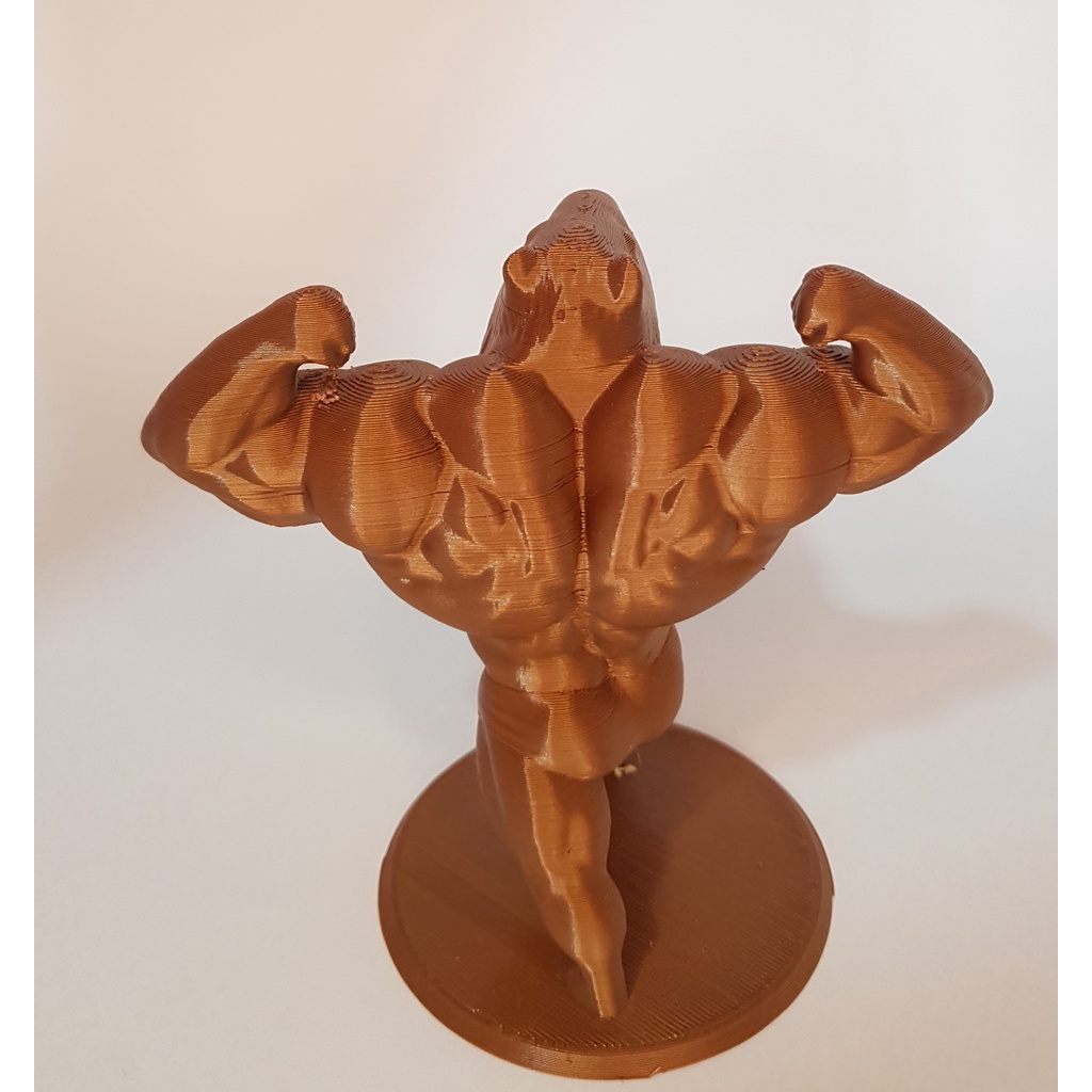 Bodybuilder Capivara