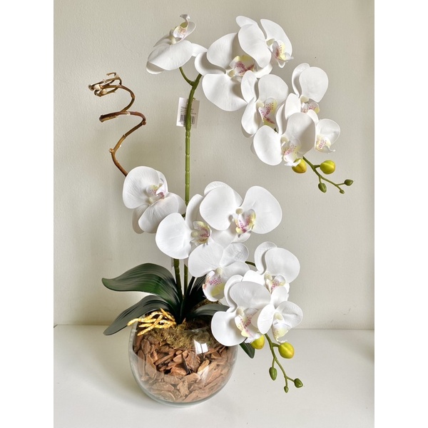 Arranjo Orquídea 3D Silicone Realista com Terrário de vidro