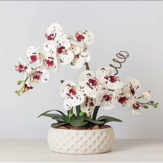Arranjo completo Orquídea silicone 3D vaso cerâmica