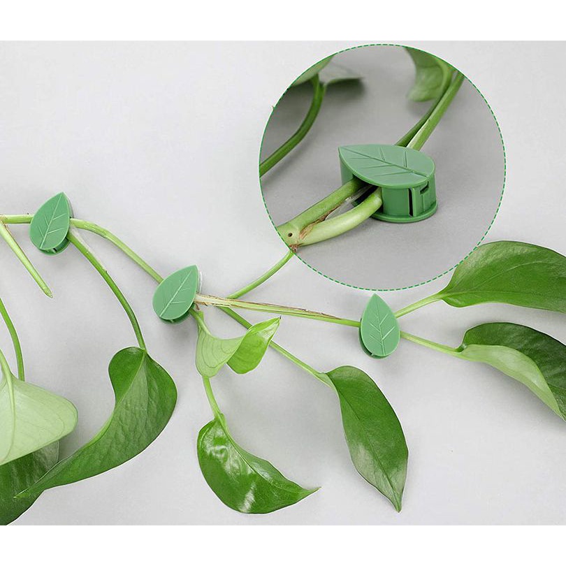 Gancho Adesivo Parede Suporte Fixação Planta Trepadeira - imagem 2