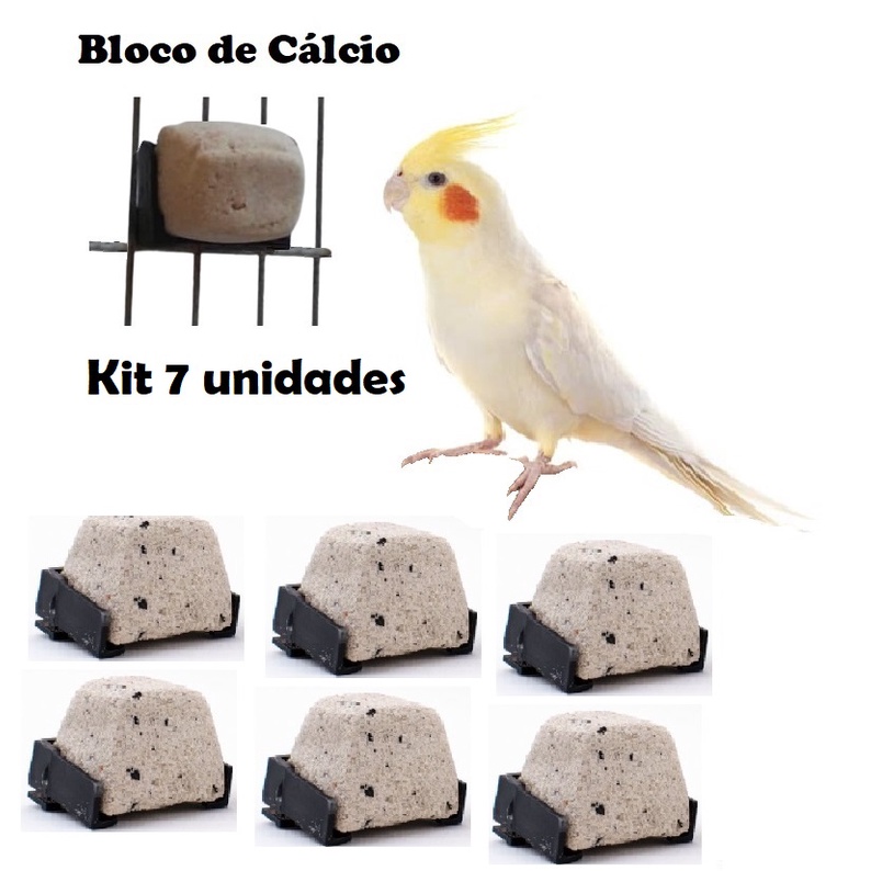 Kit Pedra de cálcio para pássaros calopsitas, Agapornis, Periquitos, Canários, Mandarins, e outras aves