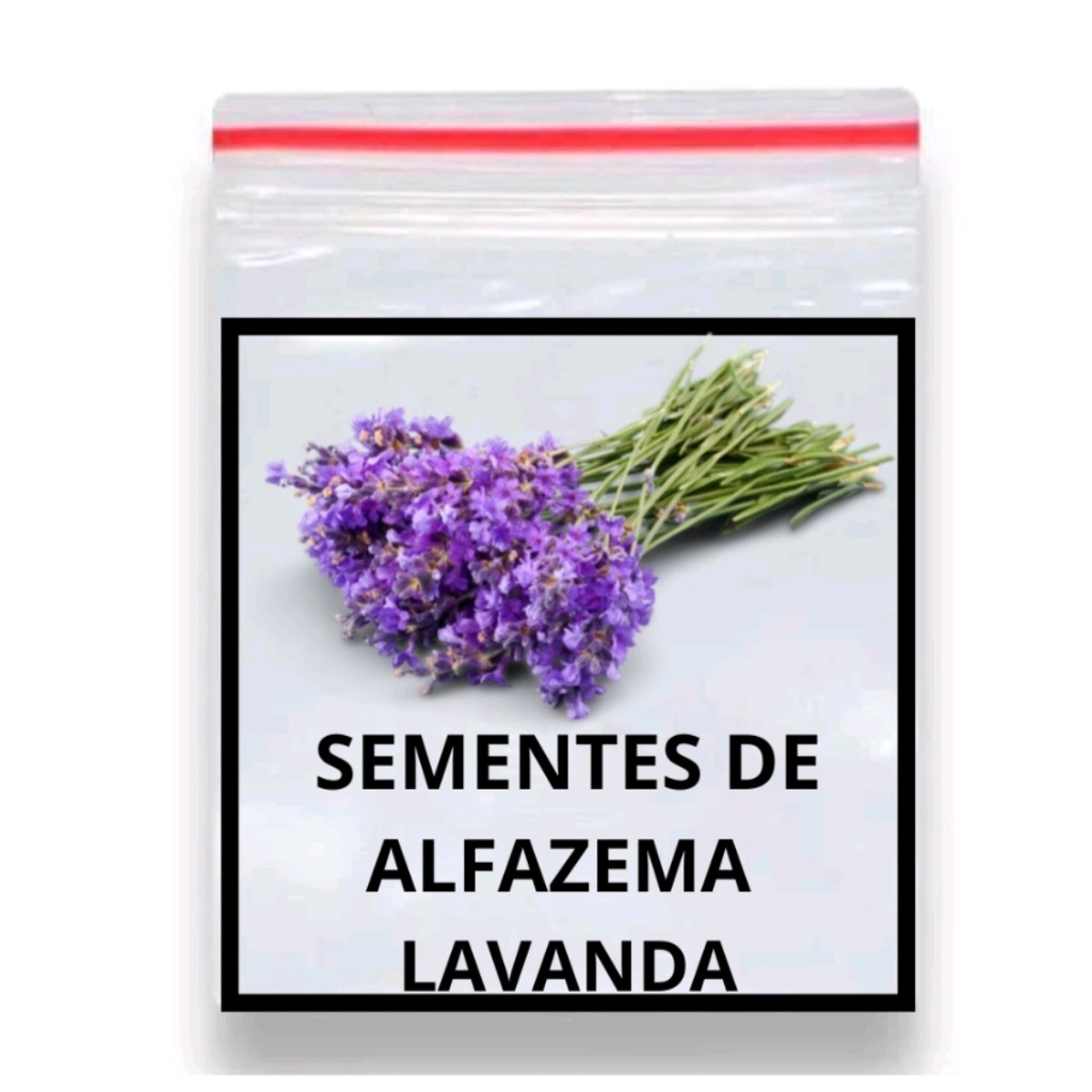 200 Sementes De Alfazema Lavanda Que Vai Perfumar Sua Casa