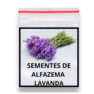 200 Sementes De Alfazema Lavanda Que Vai Perfumar Sua Casa