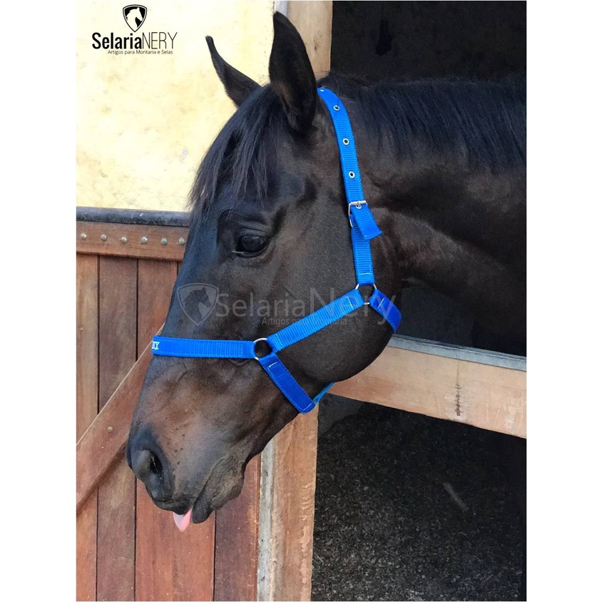 Cabresto para Cavalo Personalizado – Herts Brasil Rural