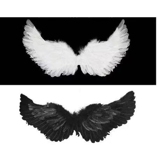 Fantasia de Asa de Anjo 60x35cm Asas De Penas prara Carnaval e Halloween