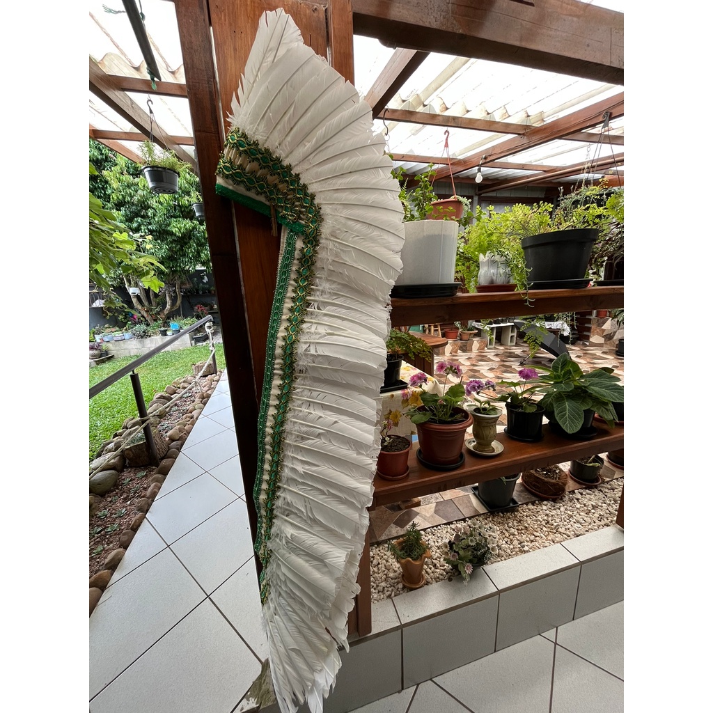 Penacho de Caboclo (a) Pena Branca