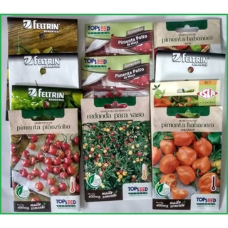 100 Sementes de Pimentas - 10 Espécies Diferentes - KIT 02