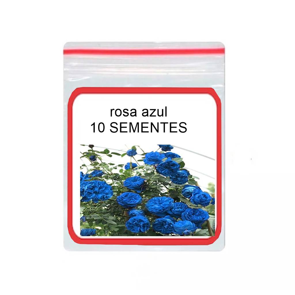 Rosa Azul 10 Sementes Rosas Raras