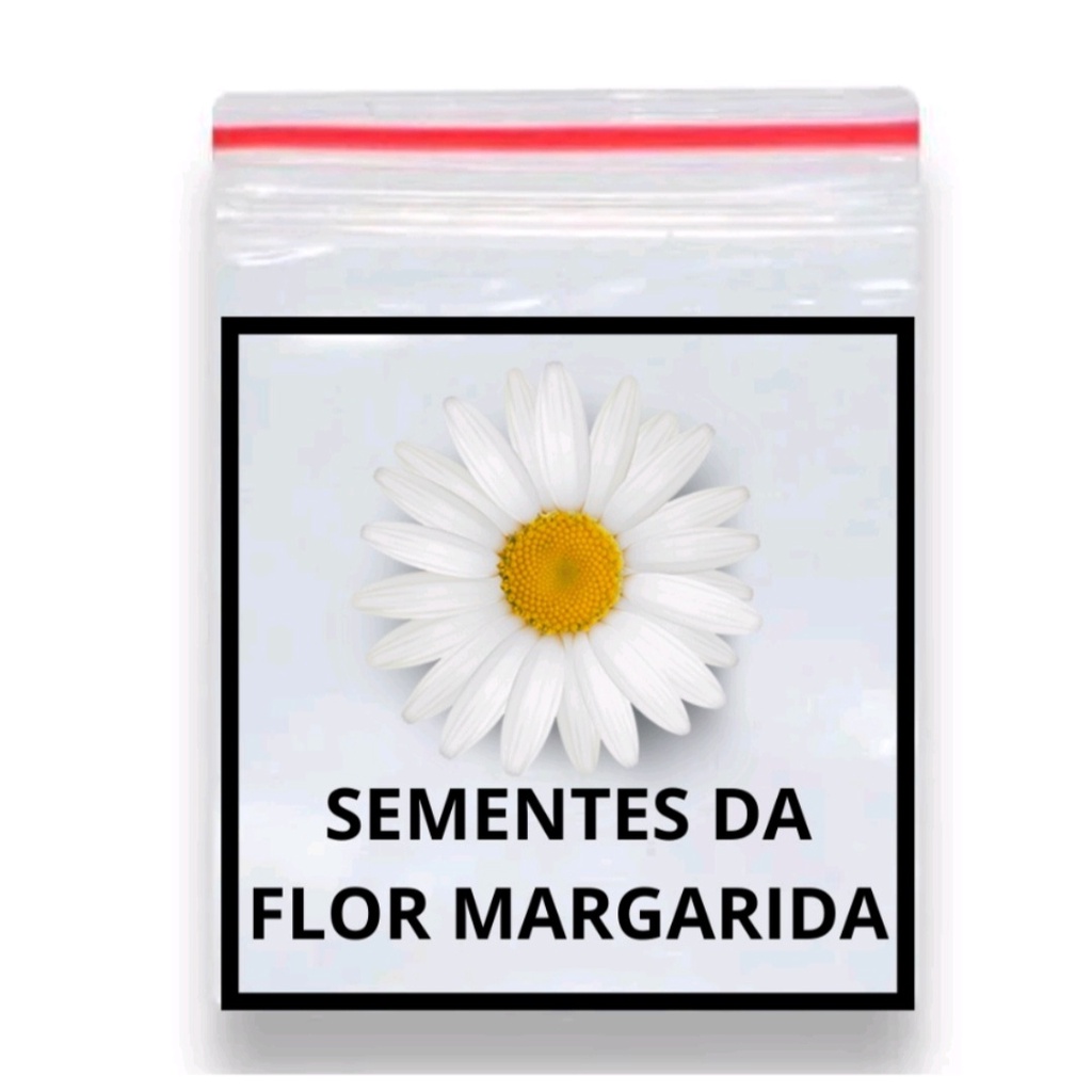 Margarida Branca Etoile D’Anvers 50 Sementes
