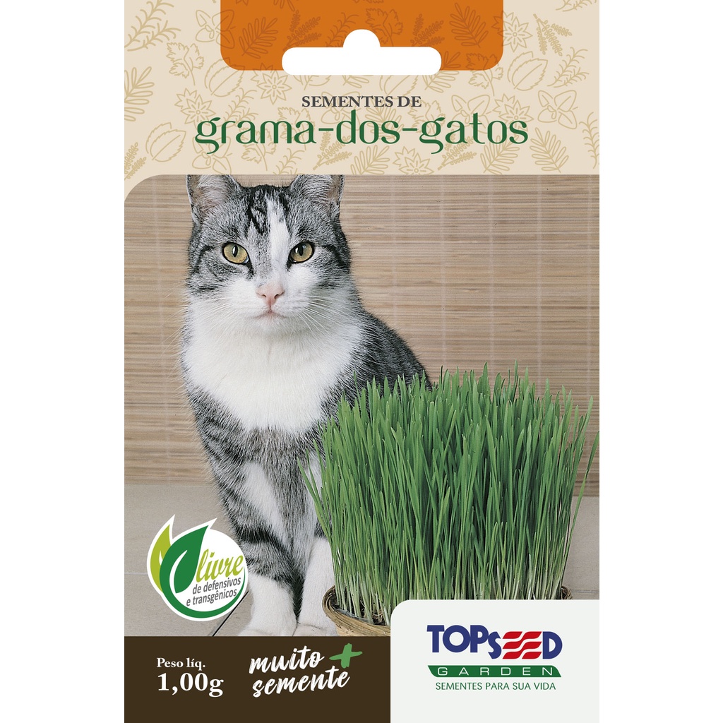 Graminha para Pets Milho de Pipoca 60 g