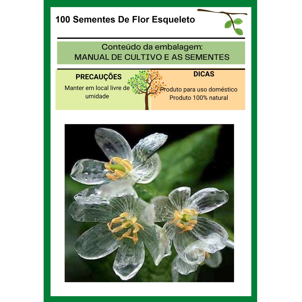 100 Sementes De Flor Esqueleto