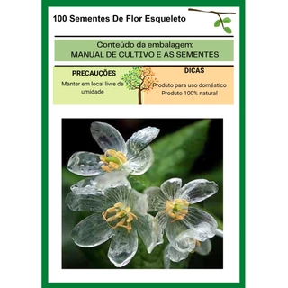 100 Sementes De Flor Esqueleto