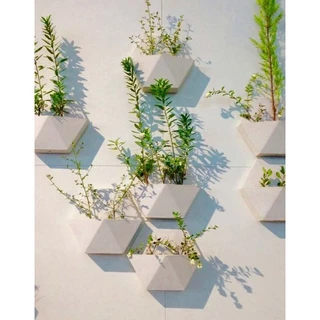 Kit Vasos de Parede Cactos Suculentas Cachepot Decorativo Plantas Artificiais e Naturais