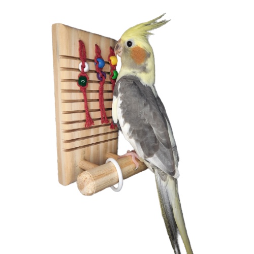Reco Reco Brinquedo Antiestresse para Calopsita, Periquitos e outras Aves