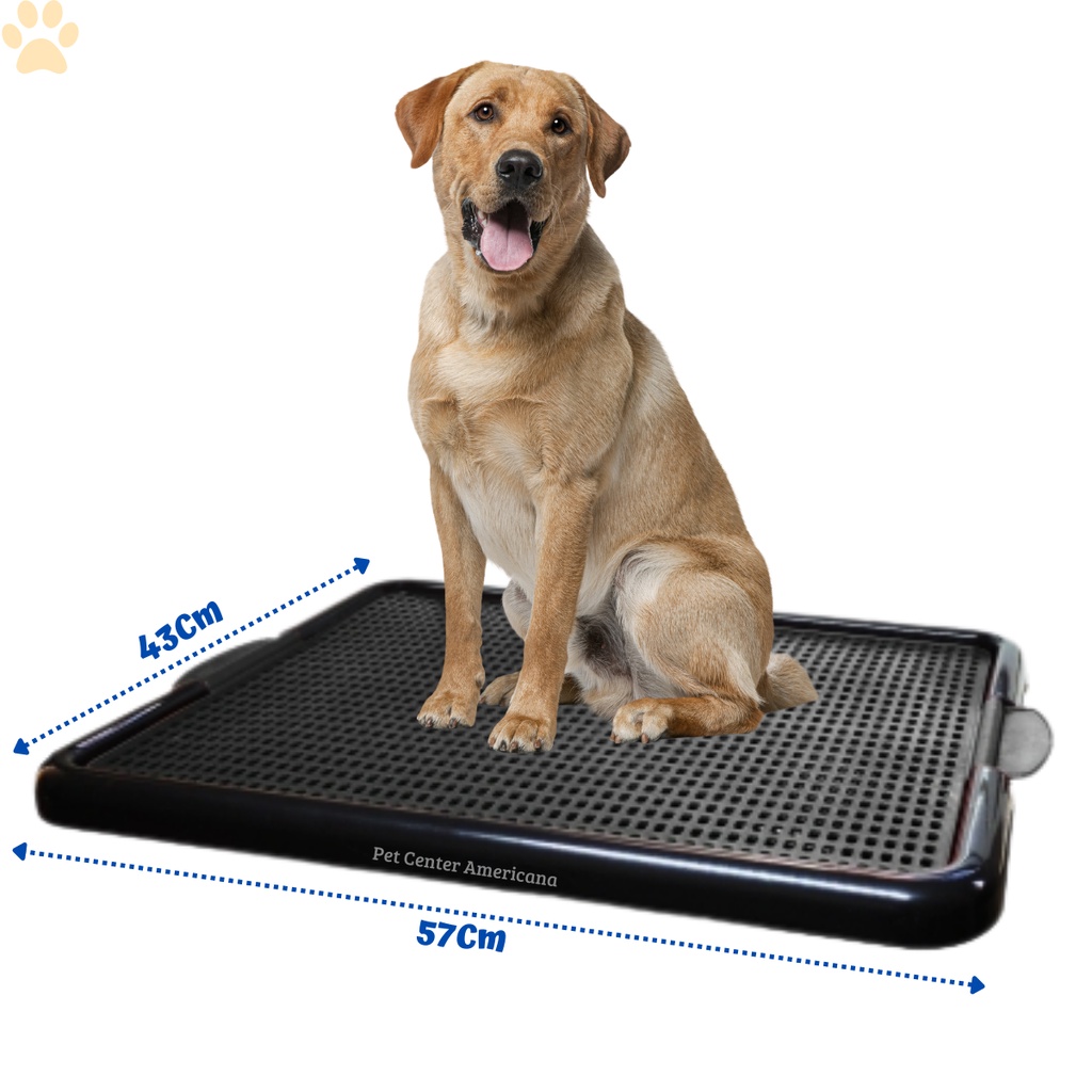 Sanitário Canino Xixi Dog Banheiro Pet Tapete Higiênico Cães