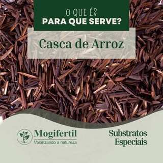 Casca Palha de Arroz Carbonizada 20 litros