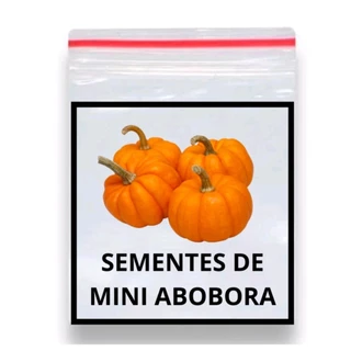 Abóbora Mini Jack 100 Sementes
