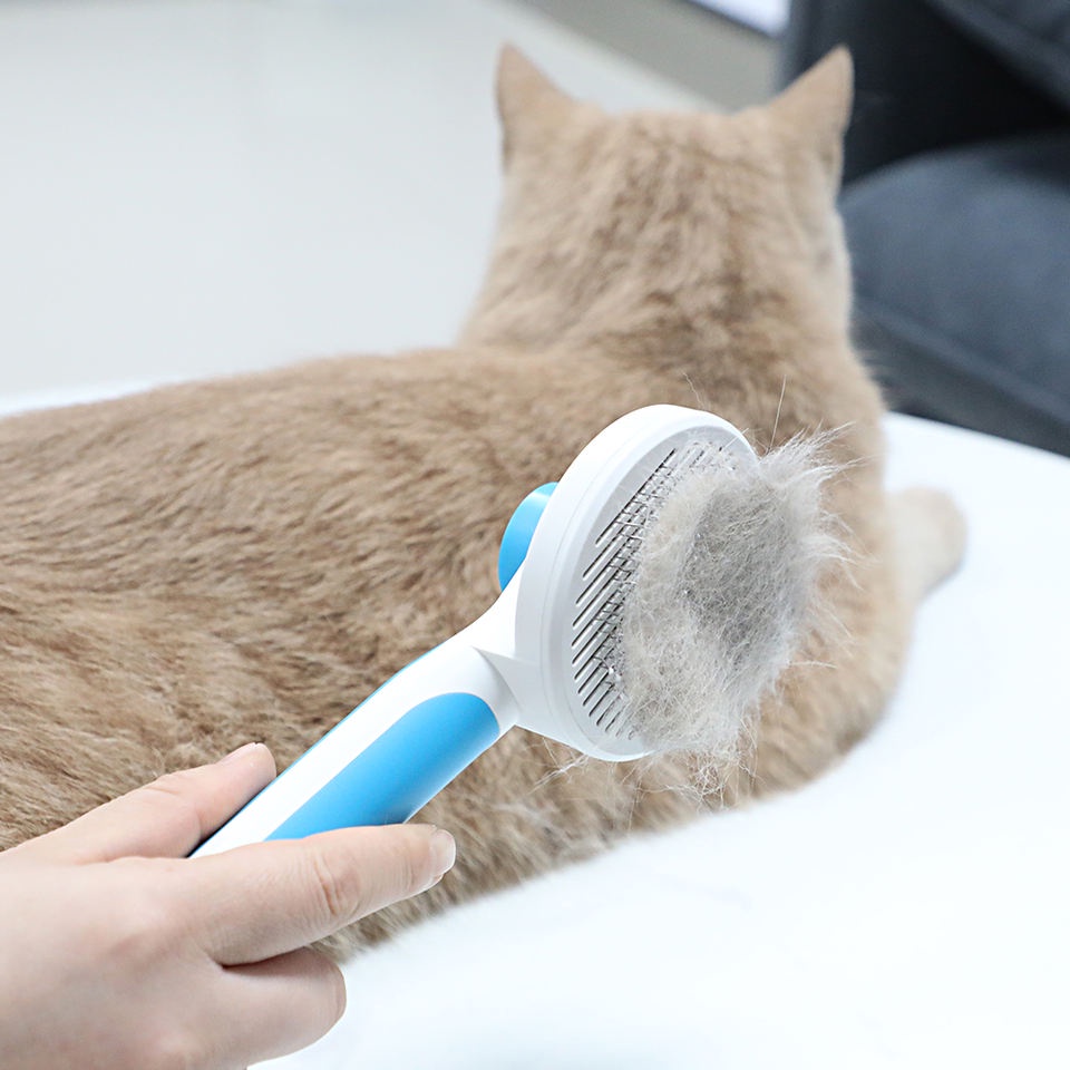 Escova Removedor Tira Pelos Pet Animais Gato Cachorro | Shopee Brasil